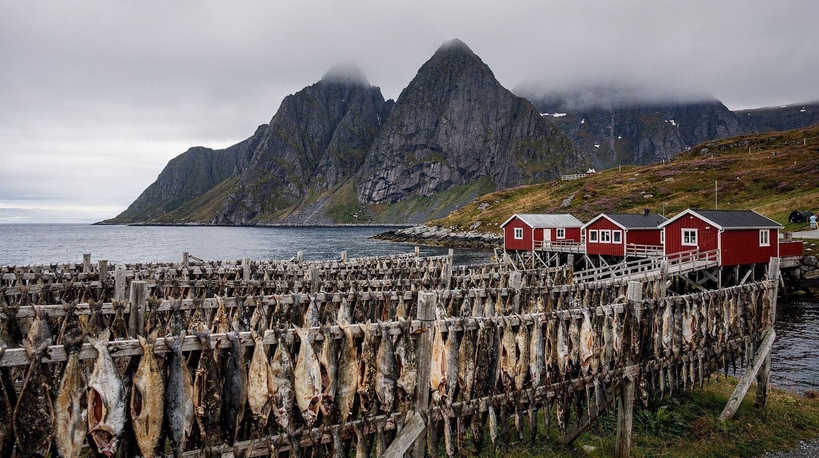 A Thousand Years of Dried Cod: The Trade That Built Bergen and Fed Europe's Lent