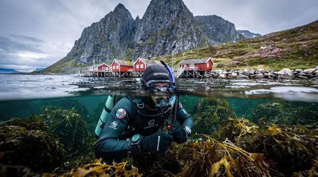 Diving snorkeling