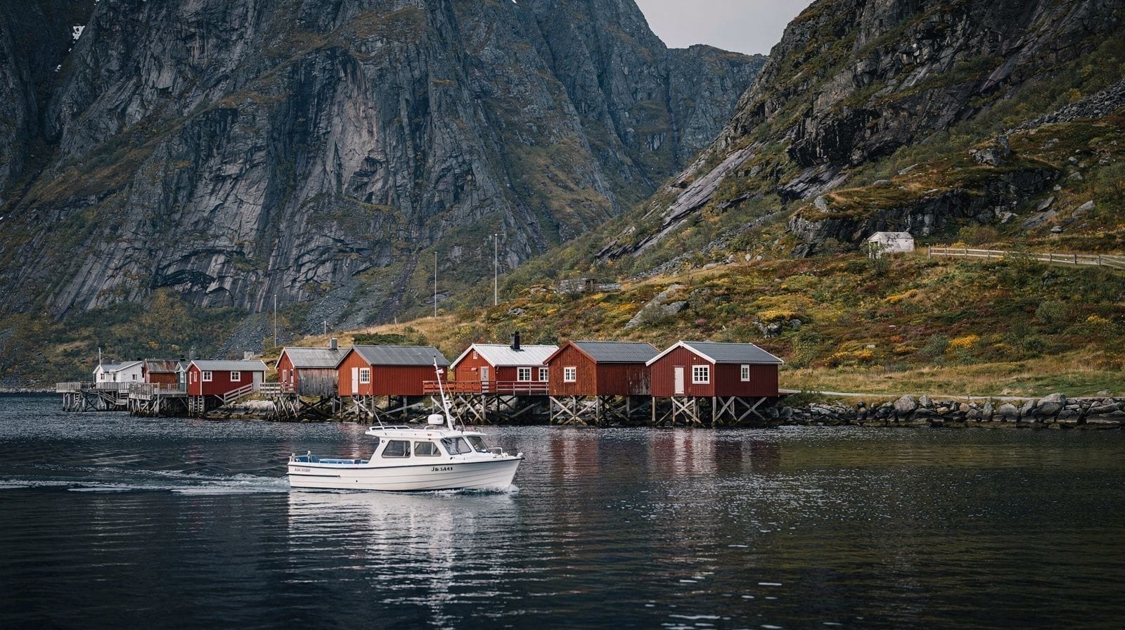 Fjord cruises