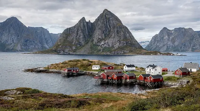 Reine