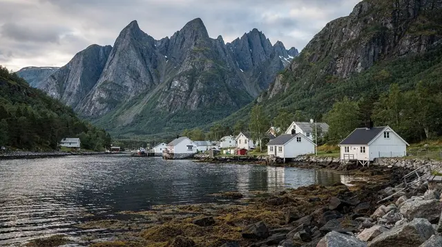 Senja