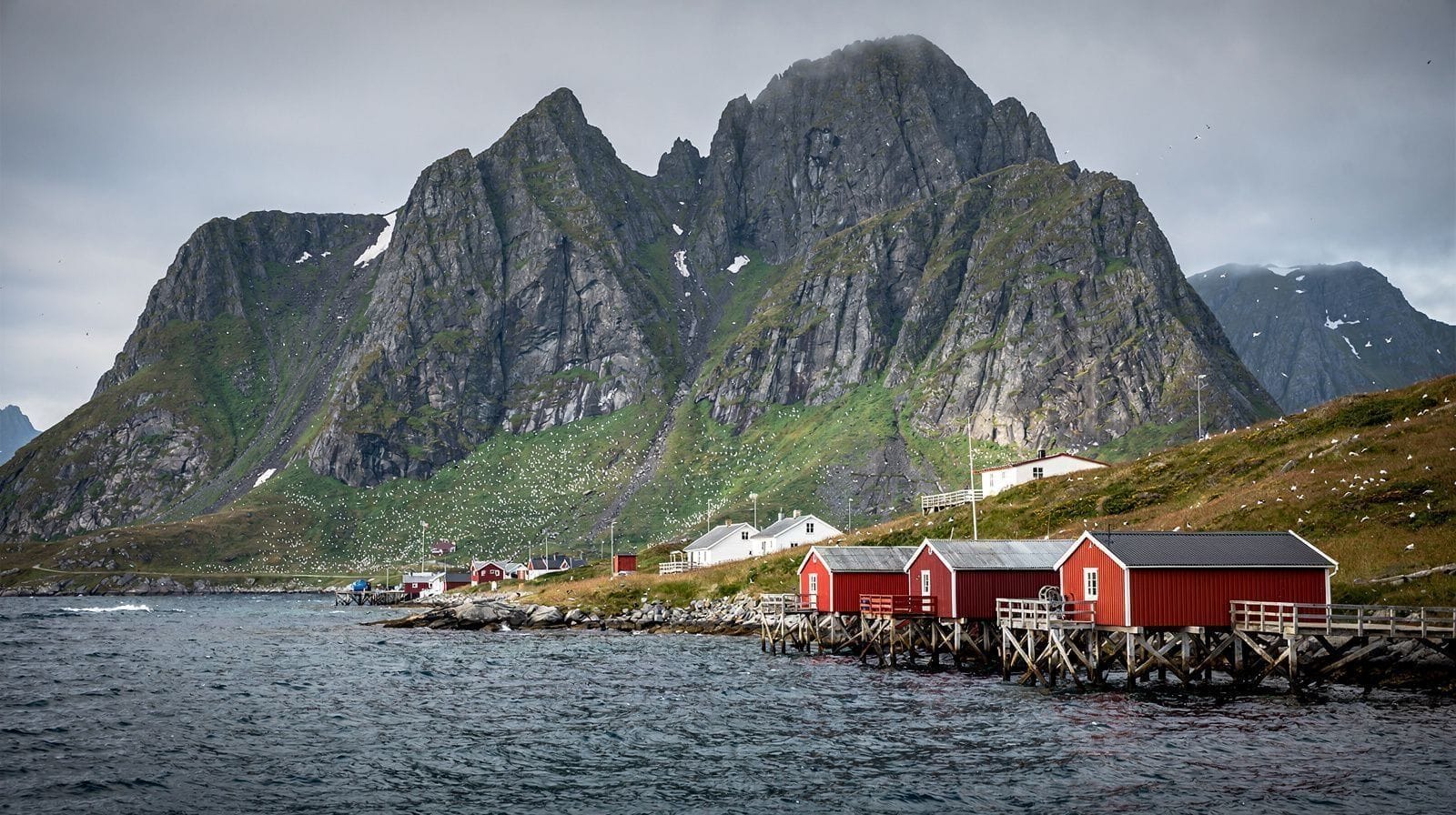 Værøy: The Bird Island South of Lofoten