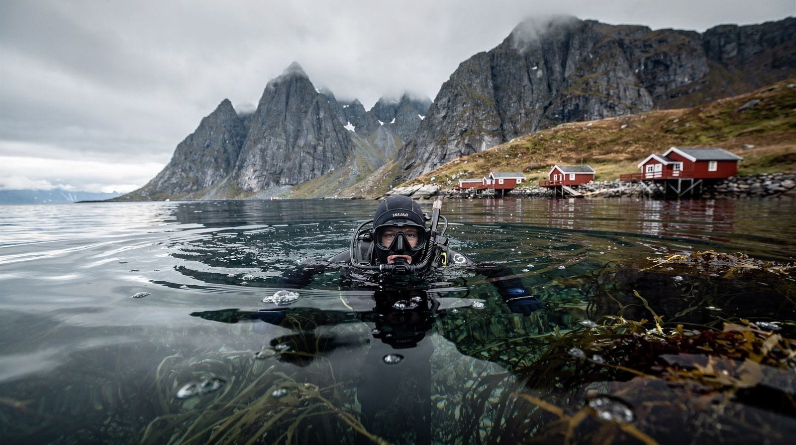 Cold-Water Diving and Snorkeling in Lofoten