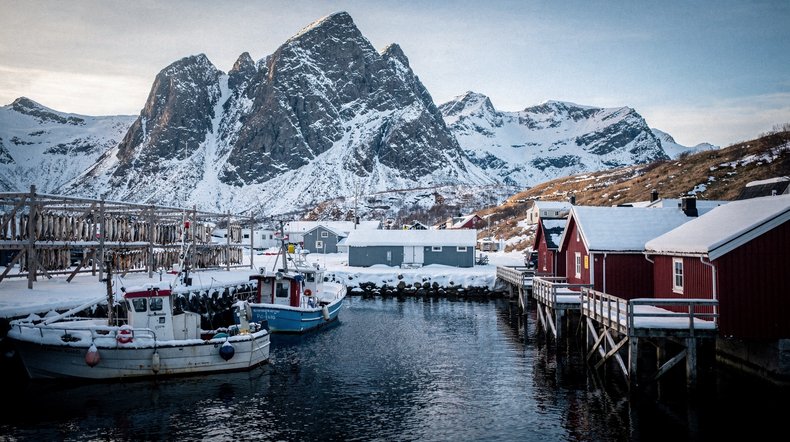 5 Days in Winter Lofoten: Aurora Hunting on Short Days